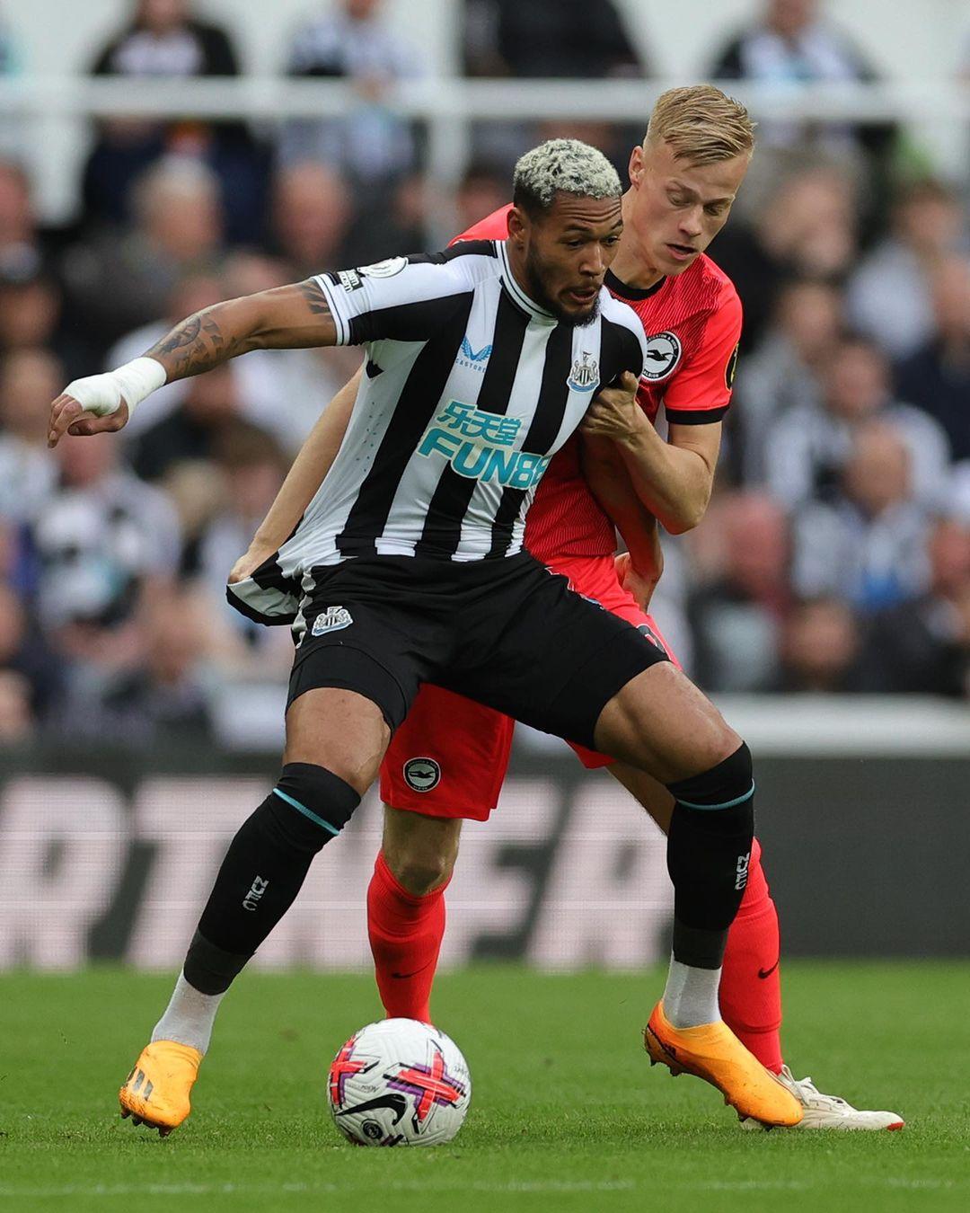 结果显而易 结果显而易